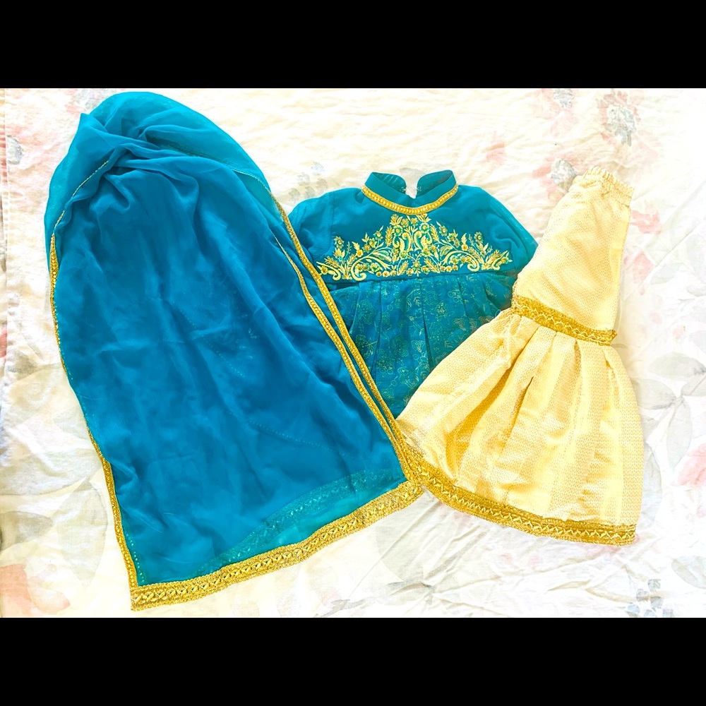 Pakistani/Indian/wedding dress
